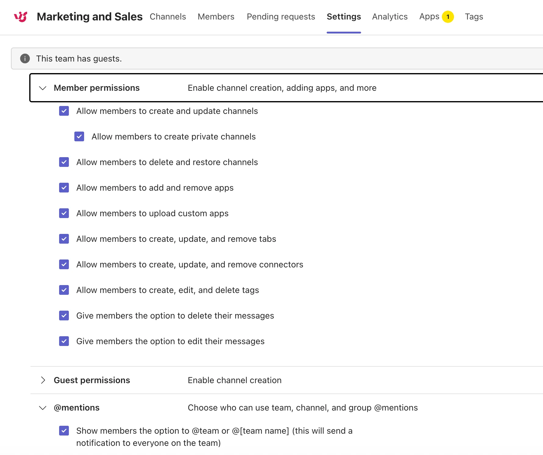 Member permissions section of the team Settings tab